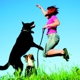 Fetch! Pet Care