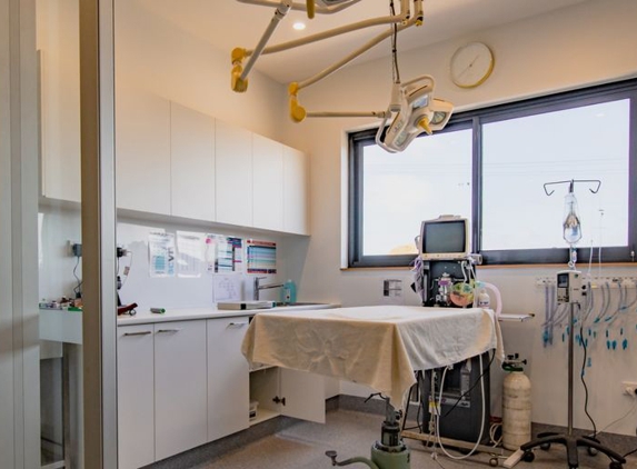 Torquay and Surfcoast Veterinary Clinics - Torquay, VIC