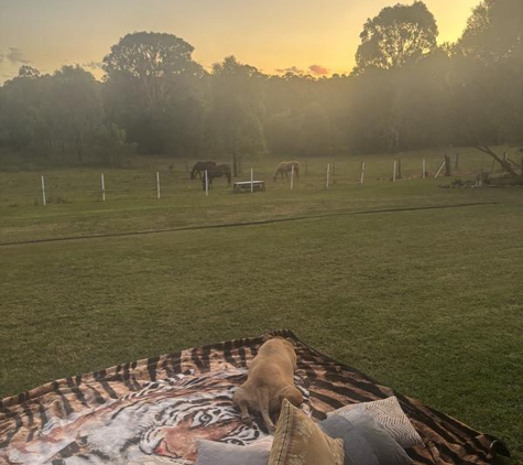 Minno's Mowing & Cleaning Services - Leumeah, NSW. Relaxing Tranquility