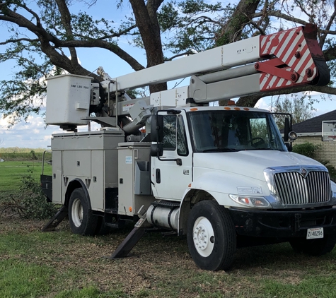 Vermilion Contracting - Venice, FL. Tree Service