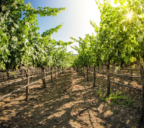 Sinegal Estate Winery - Saint Helena, CA