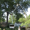 Ron Raby Tree Service gallery