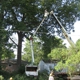 Ron Raby Tree Service