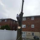 O'Brothers Tree Service LLC - Tree Service