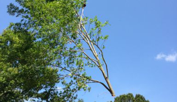 Tiger Tree Services,LLC. - Greenwell Springs, LA