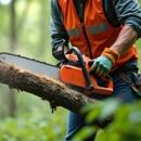 Martinez Tree Service - Tree Service