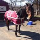 Masconette Farm - Horse Boarding - Carriage Driving - Horse Training