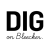 DIG on Bleecker gallery