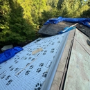 Velazquez Painting and Construction - Home Improvements