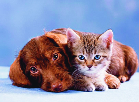Merimbula Veterinary Clinic - Merimbula, NSW