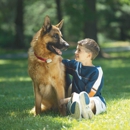 Friendly Pet Boundaries - Pet Specialty Services