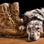 Circle of Change-Veteran's Dog Program