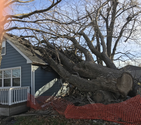 Jake's Lawn & Tree Service. Emergency job 