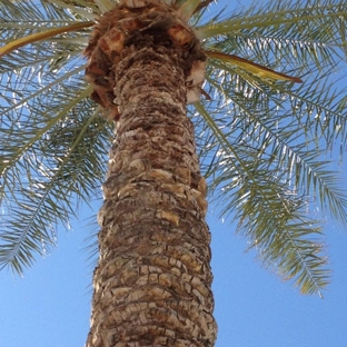 Starbucks Coffee - Goodyear, AZ