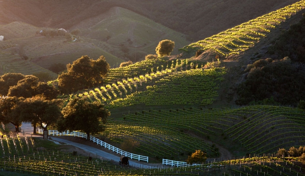 Malibu Wine Hikes - Malibu, CA