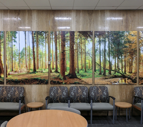 Unique Imaging Concepts - Louisville, KY. Mural Installation at Norton Healthcare Pavilion, Louisville, KY