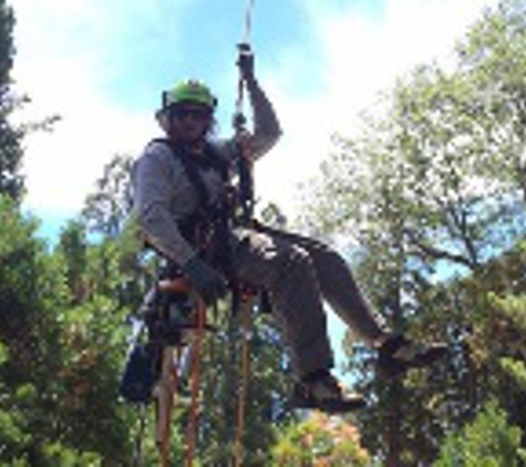 Poseidon Valley Tree Service - Running Springs, CA