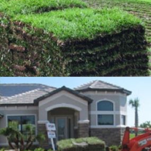 Sod Depot - Palm Bay, FL