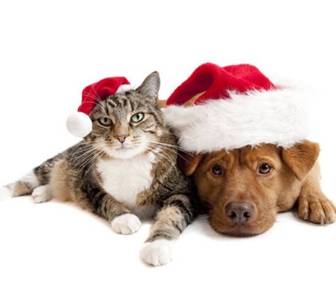 Warwick Town & Country Vets - Warwick, QLD