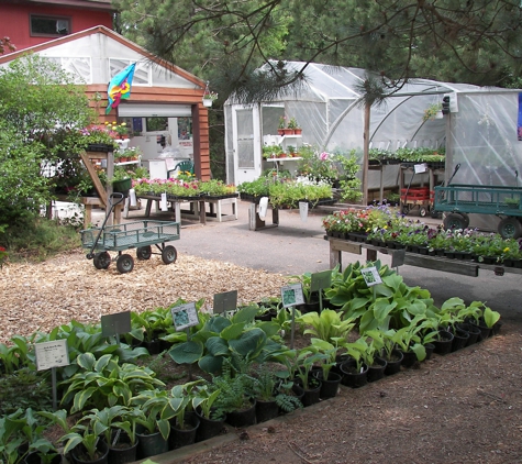 Halfen Garden Center And Hosta Heaven - Chippewa Falls, WI