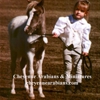 Cheyenne Arabians Pony Rides & Petting Zoo gallery