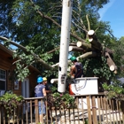 Tru-Cut Tree Service