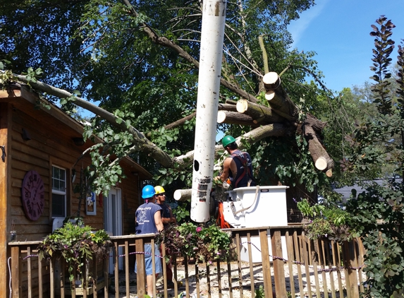 Tru-Cut Tree Service - Kokomo, IN