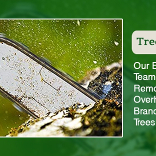 Hobart Tree Chipping & Recycling. Tree Felling
