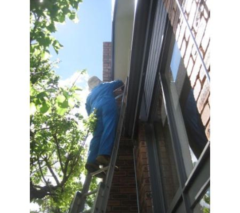 Dr Maks Pest Control - Macgregor, ACT