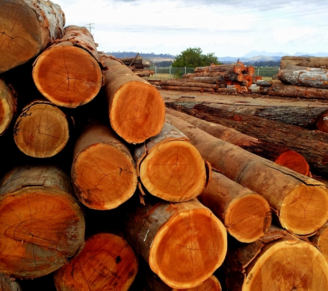 Enrights Sawmill - Beaudesert, QLD