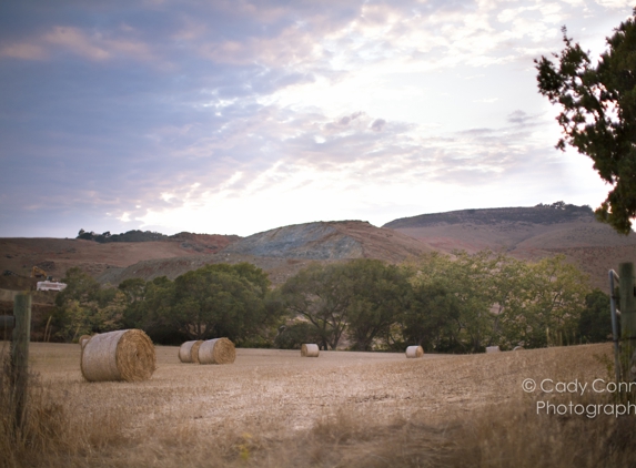 Cady Connelly Photography - Atascadero, CA