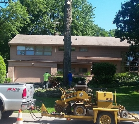 Squirrels Tree Service - Waukegan, IL