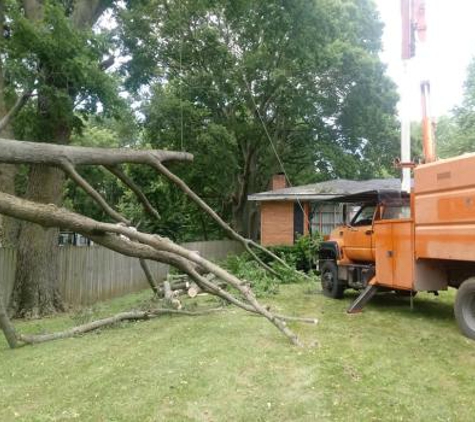 American Tree Service Unlimited - Springfield, IL