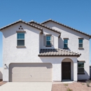 Amarillo Creek By Starlight Homes - Home Builders