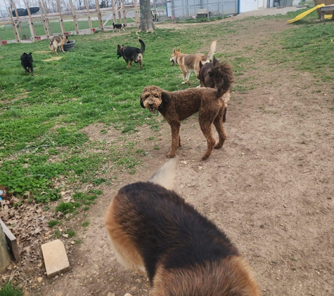 Camp Canine Elite Dogs-Training, Boarding & Grooming - Murray, KY