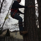 Bigelow's Tree Service and Lawn Care