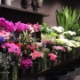 Buncha Blooms Flower Shop