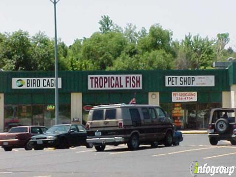 pet shop bird road