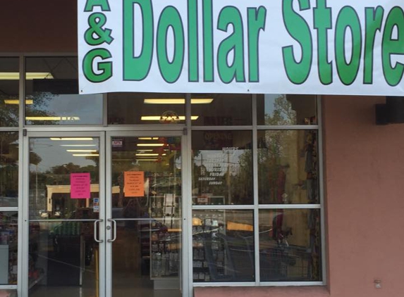 A & G Dollar Store - Ormond Beach, FL