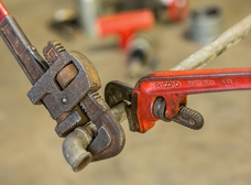 Gallery Image Number 6