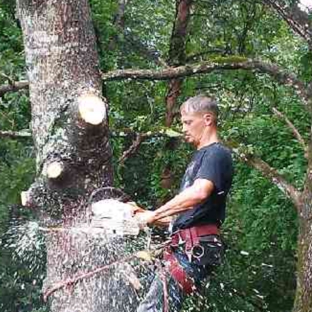 JMS tree removal.inc - cartersville, GA