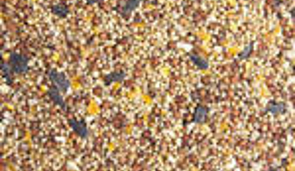 Valentine Plains Seeds And Grains - Valentine Plains, QLD