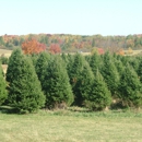 L & M Tree Farm - Christmas Trees