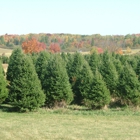 L & M Tree Farm