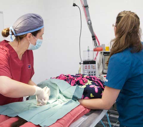 Nicklin Way Veterinary Surgery - Warana, QLD
