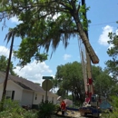 Valdosta Tree Service LLC - Landscaping & Lawn Services