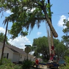 Valdosta Tree Service LLC