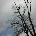 1st Choice Tree Service