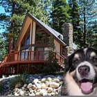 Lake Tahoe Vacation Rentals