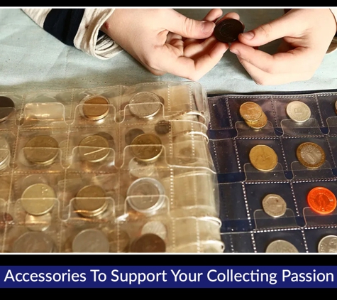 CRAIG CHAPPELL - Clayfield, QLD. Accessories To Support Your Collecting Passion
